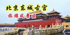 jjzzxx中国北京-东城古宫旅游风景区